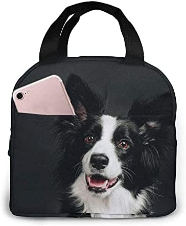Boîte à lunch pour jeune chien - Women'S Young Bags avis et prix